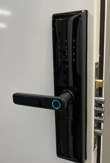 Porta Anti-Arrombamento Digital LE (Lado Esquerdo)